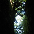 inside Mombacho fault